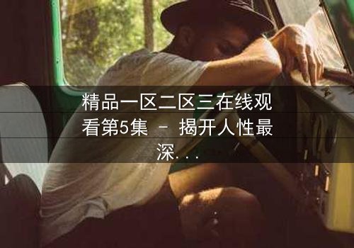 精品一区二区三在线观看第5集 - 揭开人性最深层的秘密与救赎